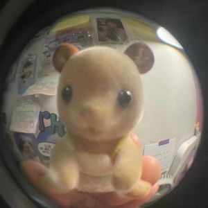 Meet your Posher, Elaina